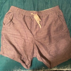 JCREW SHORTS - FROM A DOG FRIENDLY HOME